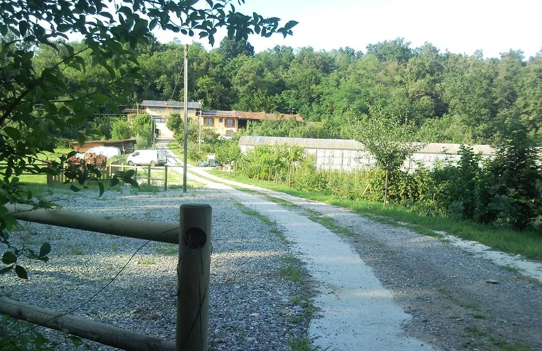 La Bedina-1